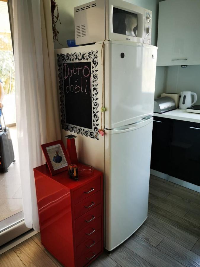 Studio Apartment Rosemary Rovigno Esterno foto